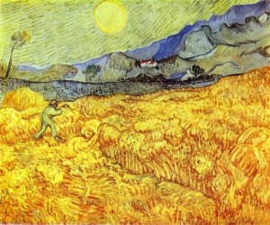 vangogh campi